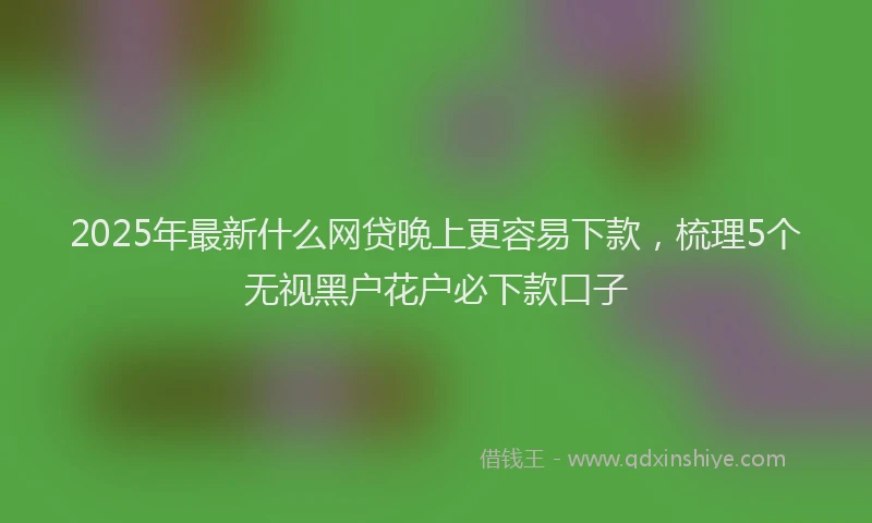 2025年最新什么网贷晚上更容易下款，梳理5个无视黑户花户必下款口子