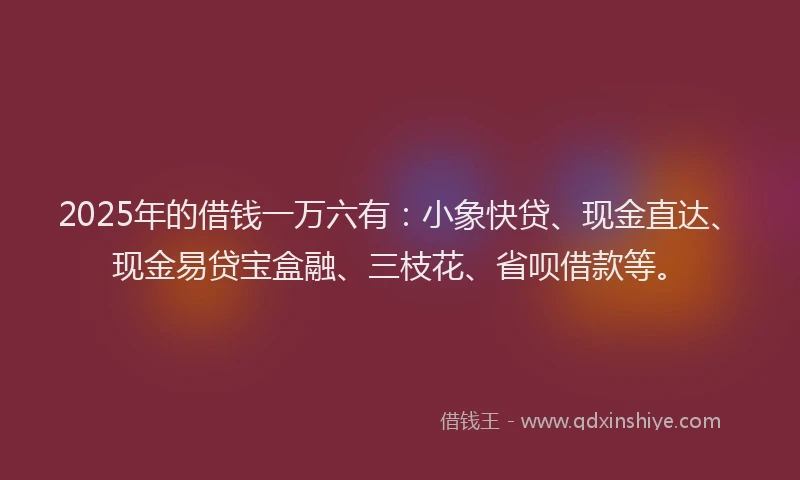 2025年的借钱一万六有：小象快贷、现金直达、现金易贷宝盒融、三枝花、省呗借款等。