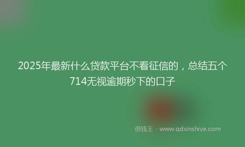 2025年最新什么贷款平台不看征信的，总结五个714无视逾期秒下的口子