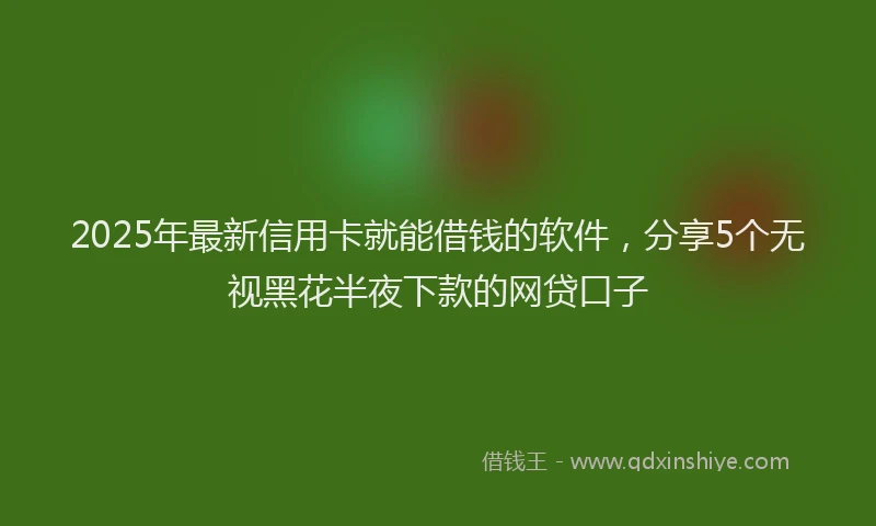 2025年最新信用卡就能借钱的软件，分享5个无视黑花半夜下款的网贷口子