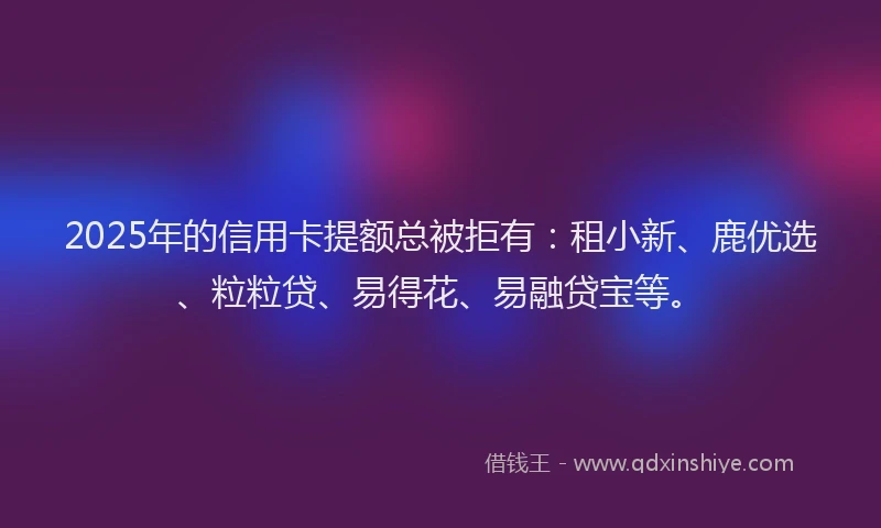 2025年的信用卡提额总被拒有：租小新、鹿优选、粒粒贷、易得花、易融贷宝等。