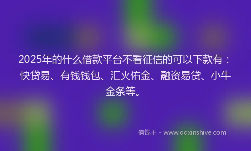 2025年的什么借款平台不看征信的可以下款有：快贷易、有钱钱包、汇火佑金、融资易贷、小牛金条等。