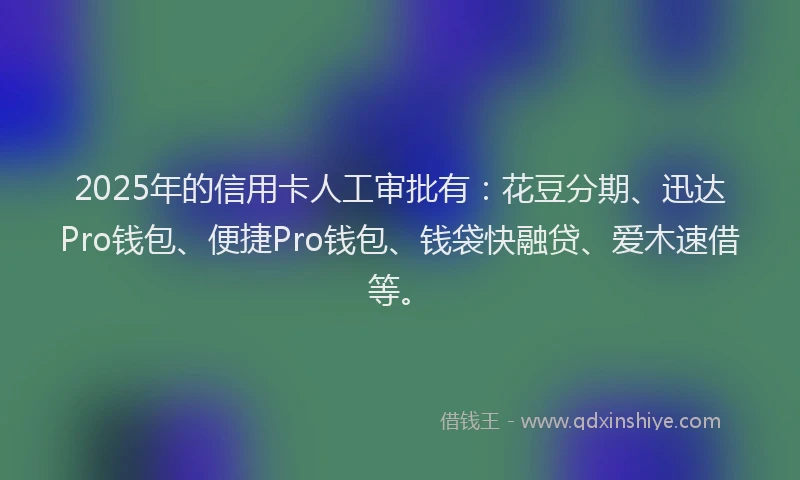 2025年的信用卡人工审批有：花豆分期、迅达Pro钱包、便捷Pro钱包、钱袋快融贷、爱木速借等。