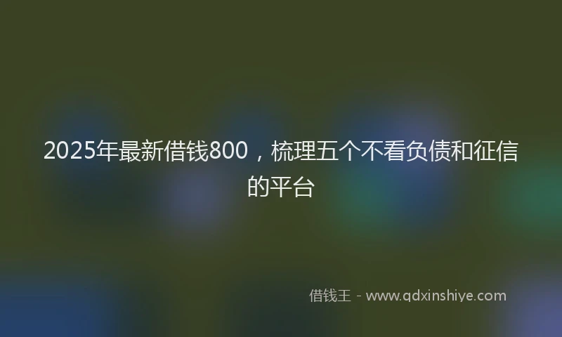 2025年最新借钱800，梳理五个不看负债和征信的平台