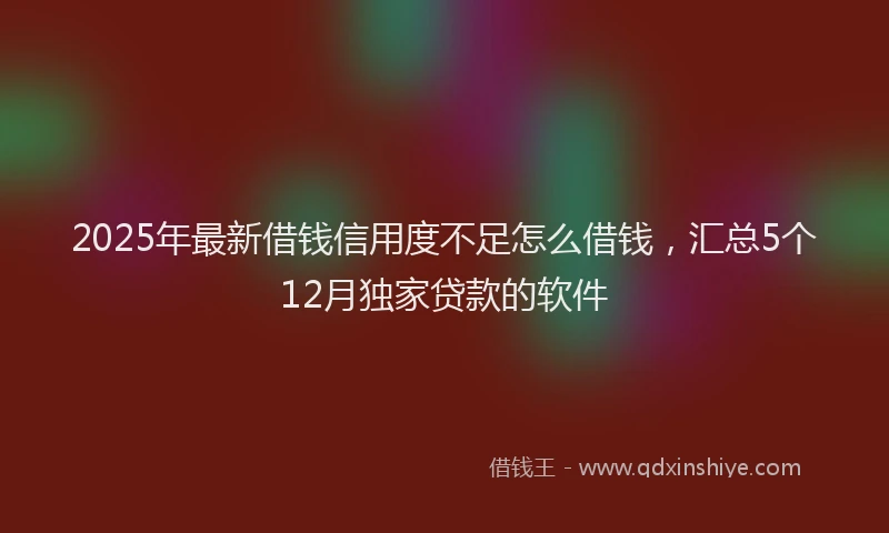 2025年最新借钱信用度不足怎么借钱，汇总5个12月独家贷款的软件