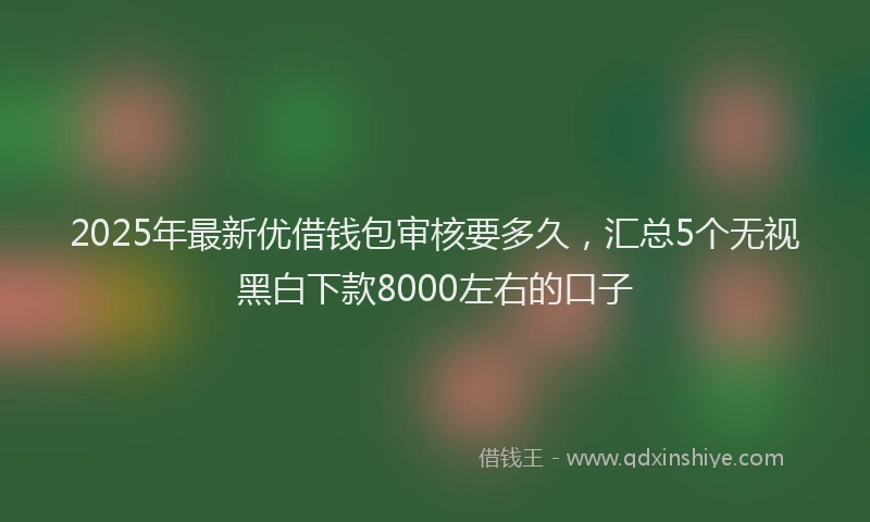 2025年最新优借钱包审核要多久，汇总5个无视黑白下款8000左右的口子