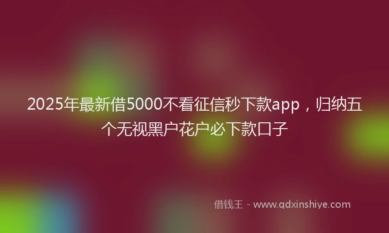 2025年最新借5000不看征信秒下款app，归纳五个无视黑户花户必下款口子