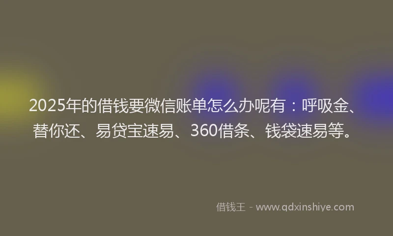 2025年的借钱要微信账单怎么办呢有：呼吸金、替你还、易贷宝速易、360借条、钱袋速易等。