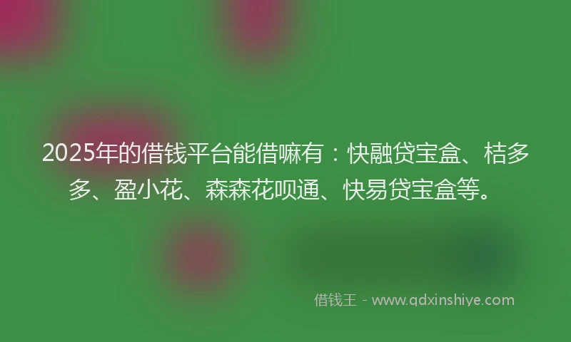 2025年的借钱平台能借嘛有：快融贷宝盒、桔多多、盈小花、森森花呗通、快易贷宝盒等。