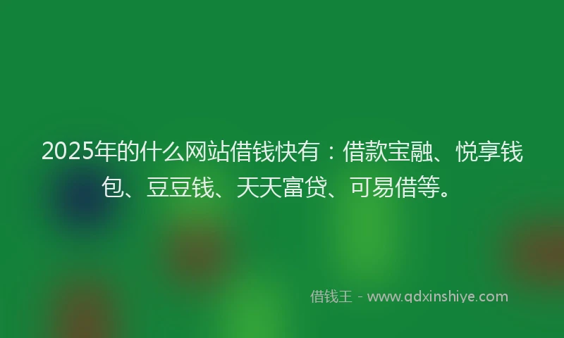 2025年的什么网站借钱快有：借款宝融、悦享钱包、豆豆钱、天天富贷、可易借等。
