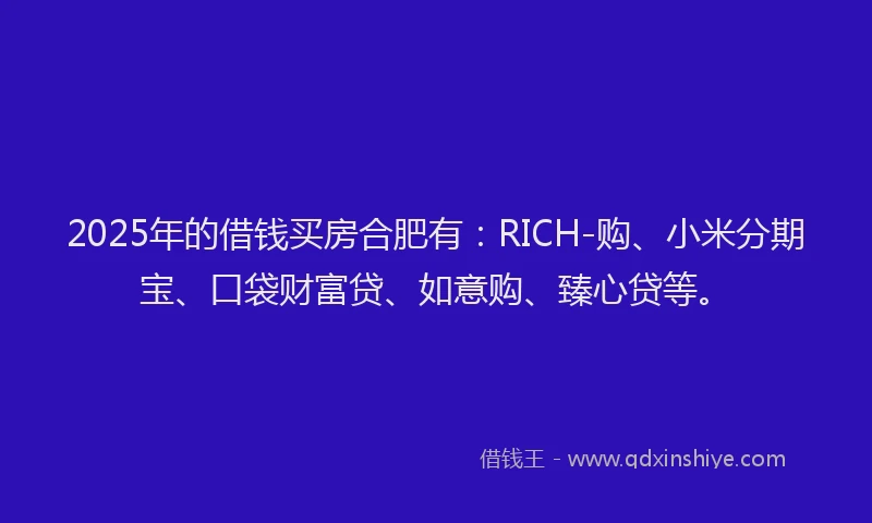 2025年的借钱买房合肥有：RICH-购、小米分期宝、口袋财富贷、如意购、臻心贷等。