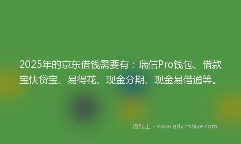 2025年的京东借钱需要有：瑞信Pro钱包、借款宝快贷宝、易得花、现金分期、现金易借通等。