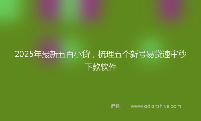 2025年最新五百小贷，梳理五个新号易贷速审秒下款软件