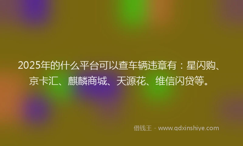 2025年的什么平台可以查车辆违章有：星闪购、京卡汇、麒麟商城、天源花、维信闪贷等。