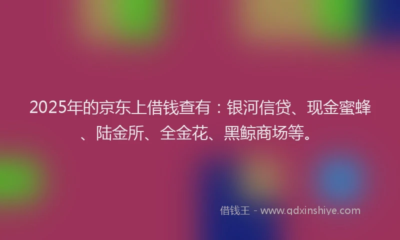 2025年的京东上借钱查有：银河信贷、现金蜜蜂、陆金所、全金花、黑鲸商场等。