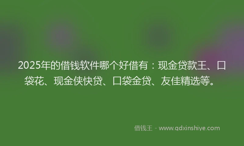 2025年的借钱软件哪个好借有：现金贷款王、口袋花、现金侠快贷、口袋金贷、友佳精选等。
