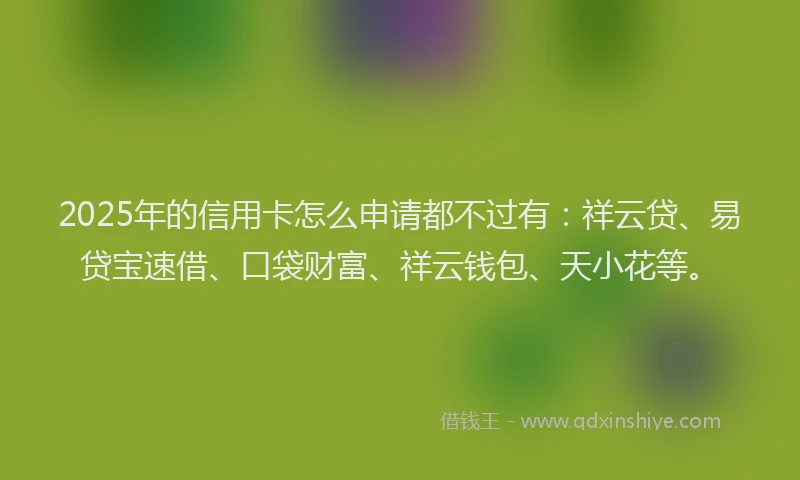 2025年的信用卡怎么申请都不过有：祥云贷、易贷宝速借、口袋财富、祥云钱包、天小花等。