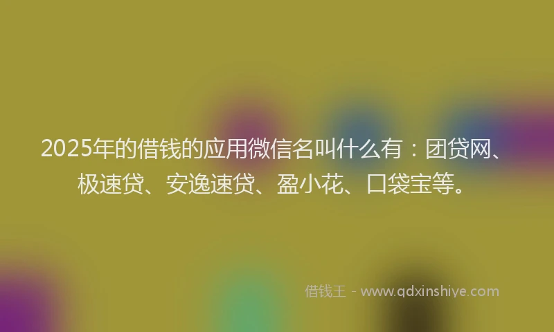 2025年的借钱的应用微信名叫什么有：团贷网、极速贷、安逸速贷、盈小花、口袋宝等。