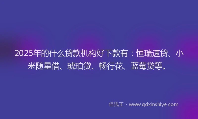 2025年的什么贷款机构好下款有：恒瑞速贷、小米随星借、琥珀贷、畅行花、蓝莓贷等。