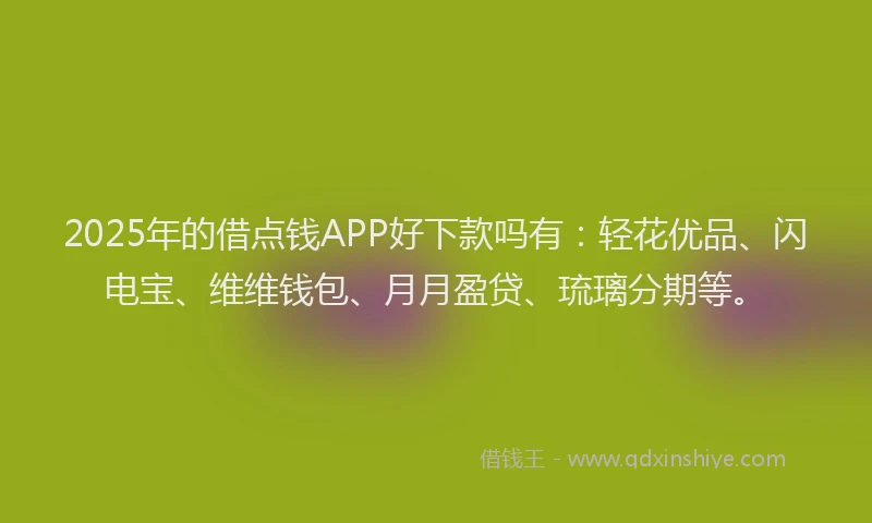 2025年的借点钱APP好下款吗有：轻花优品、闪电宝、维维钱包、月月盈贷、琉璃分期等。