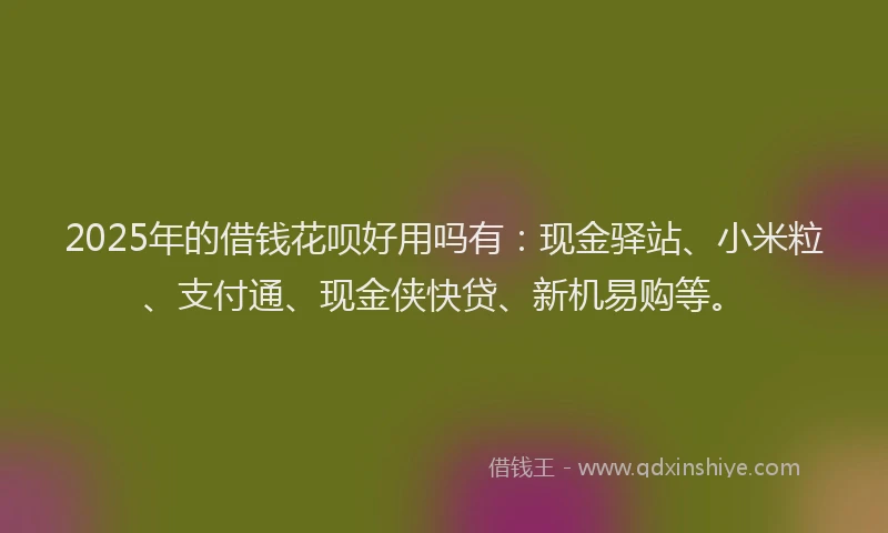 2025年的借钱花呗好用吗有：现金驿站、小米粒、支付通、现金侠快贷、新机易购等。