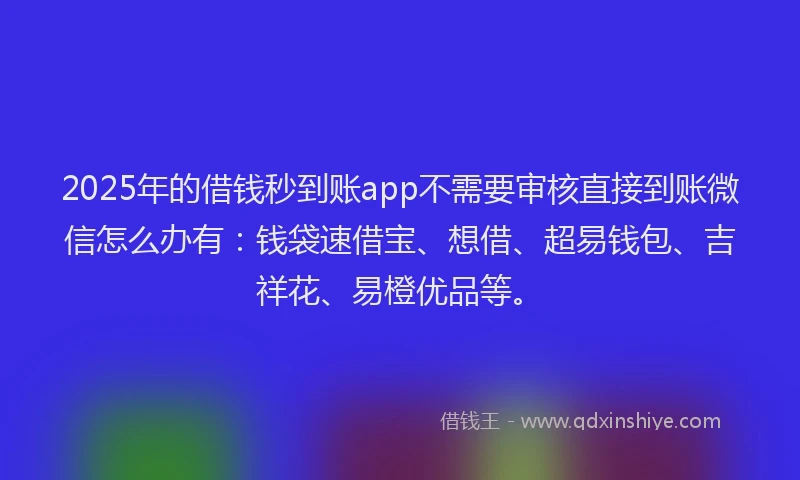 2025年的借钱秒到账app不需要审核直接到账微信怎么办有：钱袋速借宝、想借、超易钱包、吉祥花、易橙优品等。