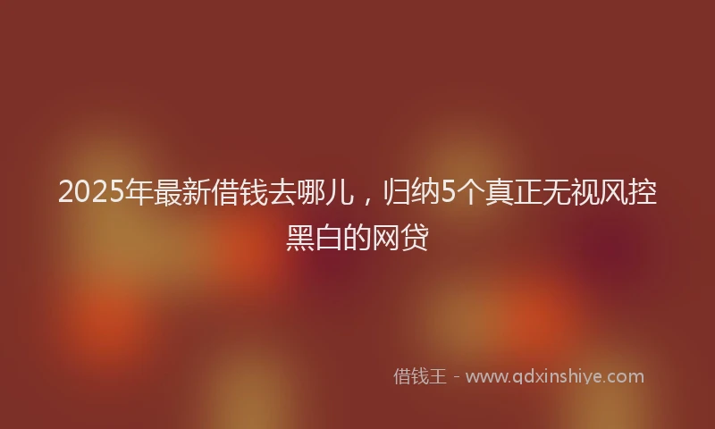 2025年最新借钱去哪儿，归纳5个真正无视风控黑白的网贷