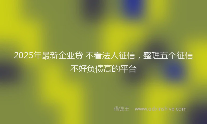 2025年最新企业贷 不看法人征信，整理五个征信不好负债高的平台