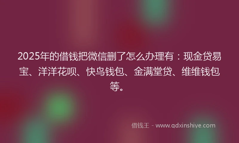 2025年的借钱把微信删了怎么办理有：现金贷易宝、洋洋花呗、快鸟钱包、金满堂贷、维维钱包等。