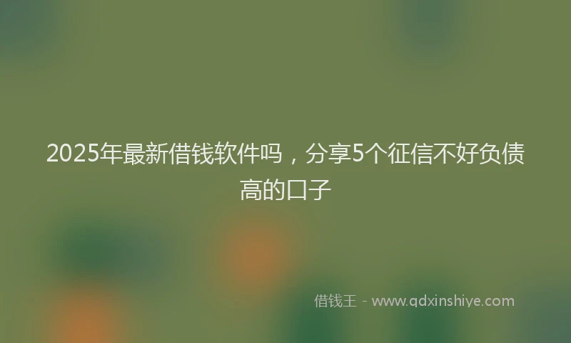 2025年最新借钱软件吗，分享5个征信不好负债高的口子