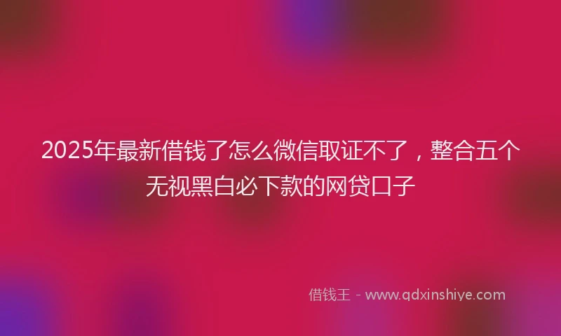 2025年最新借钱了怎么微信取证不了，整合五个无视黑白必下款的网贷口子
