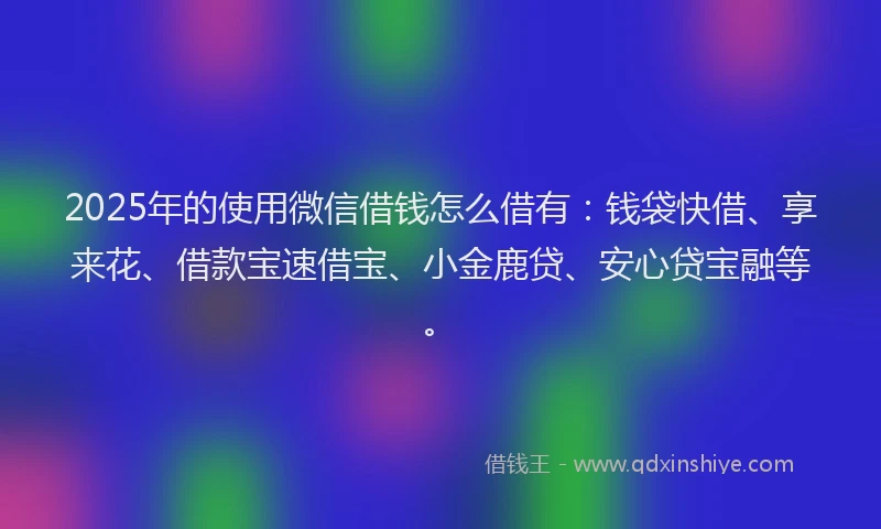2025年的使用微信借钱怎么借有：钱袋快借、享来花、借款宝速借宝、小金鹿贷、安心贷宝融等。