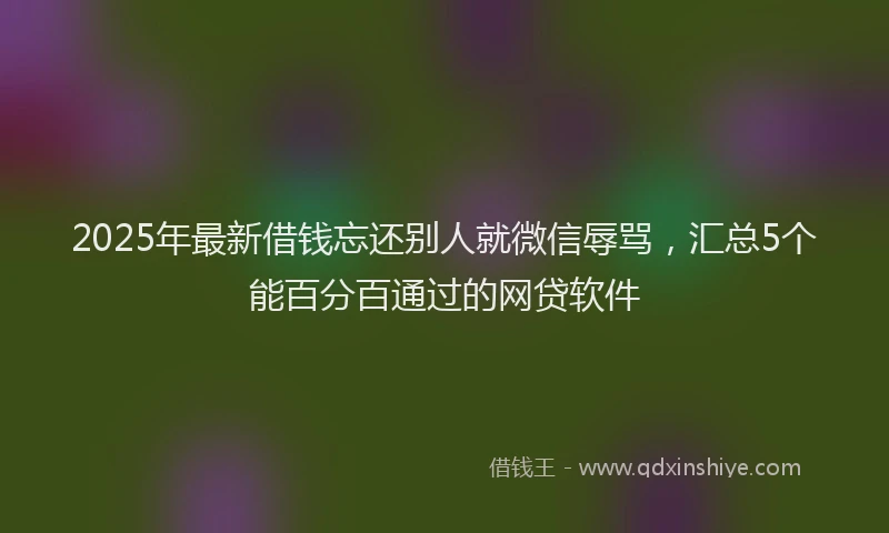 2025年最新借钱忘还别人就微信辱骂，汇总5个能百分百通过的网贷软件