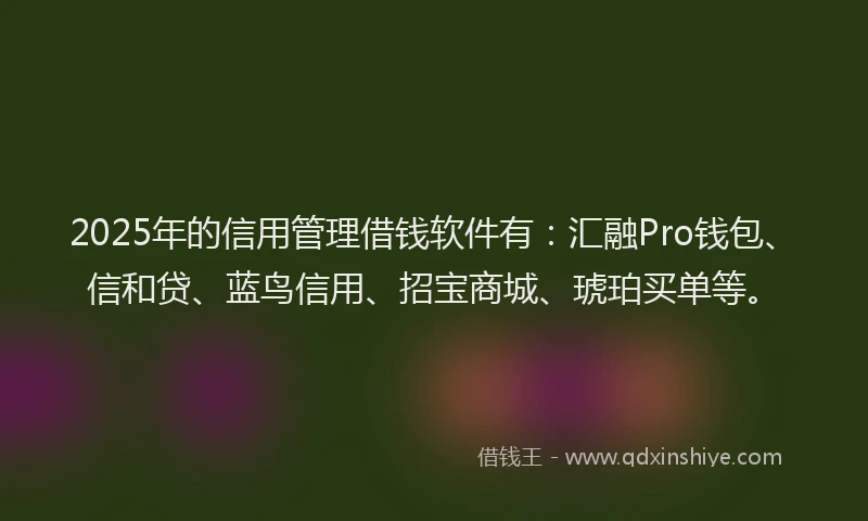2025年的信用管理借钱软件有：汇融Pro钱包、信和贷、蓝鸟信用、招宝商城、琥珀买单等。