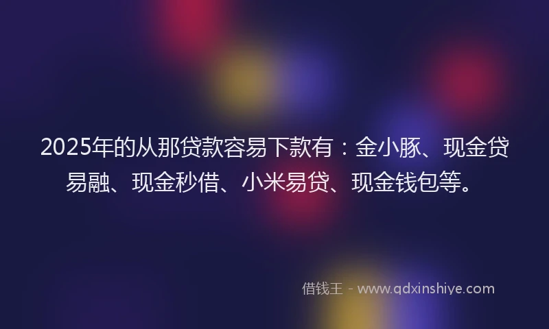 2025年的从那贷款容易下款有：金小豚、现金贷易融、现金秒借、小米易贷、现金钱包等。