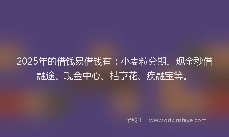 2025年的借钱易借钱有：小麦粒分期、现金秒借融途、现金中心、桔享花、疾融宝等。