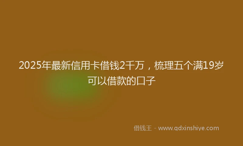 2025年最新信用卡借钱2千万，梳理五个满19岁可以借款的口子