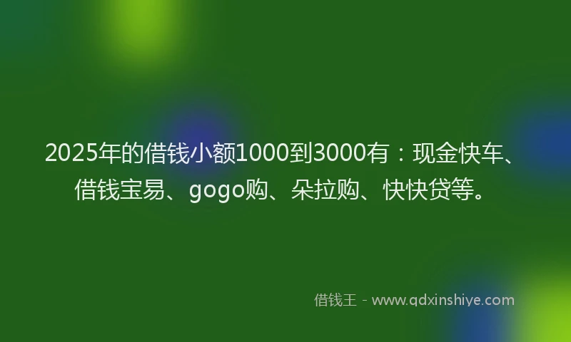 2025年的借钱小额1000到3000有：现金快车、借钱宝易、gogo购、朵拉购、快快贷等。