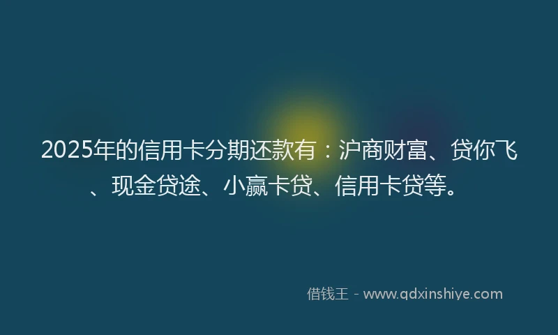 2025年的信用卡分期还款有：沪商财富、贷你飞、现金贷途、小赢卡贷、信用卡贷等。