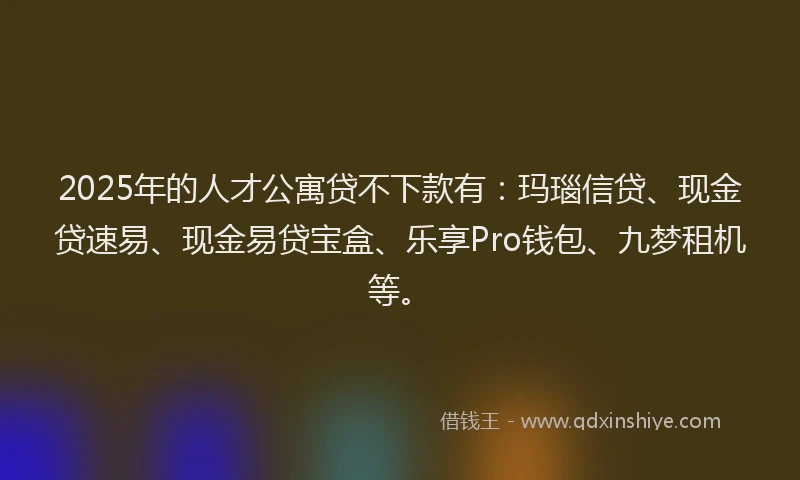 2025年的人才公寓贷不下款有：玛瑙信贷、现金贷速易、现金易贷宝盒、乐享Pro钱包、九梦租机等。