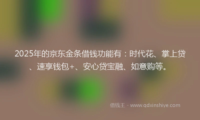 2025年的京东金条借钱功能有：时代花、掌上贷、速享钱包+、安心贷宝融、如意购等。