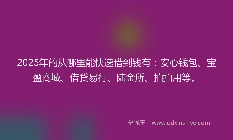 2025年的从哪里能快速借到钱有：安心钱包、宝盈商城、借贷易行、陆金所、拍拍用等。