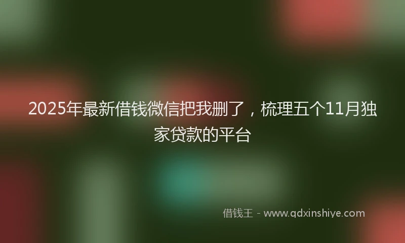 2025年最新借钱微信把我删了，梳理五个11月独家贷款的平台