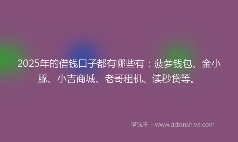 2025年的借钱口子都有哪些有：菠萝钱包、金小豚、小吉商城、老哥租机、读秒贷等。