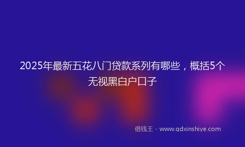 2025年最新五花八门贷款系列有哪些，概括5个无视黑白户口子