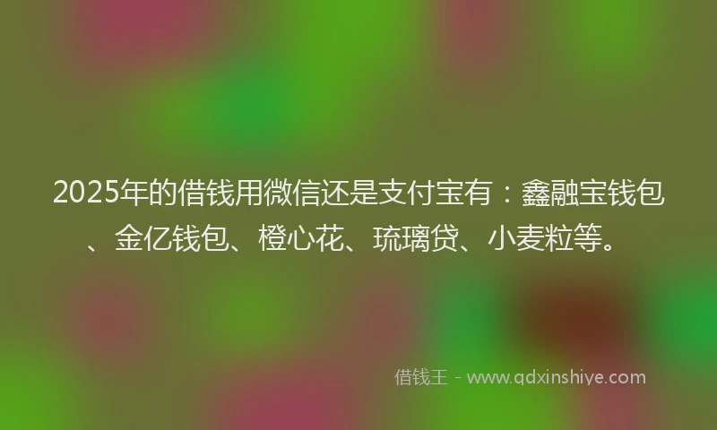 2025年的借钱用微信还是支付宝有：鑫融宝钱包、金亿钱包、橙心花、琉璃贷、小麦粒等。