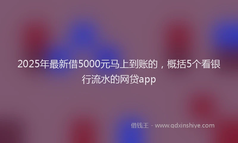 2025年最新借5000元马上到账的，概括5个看银行流水的网贷app