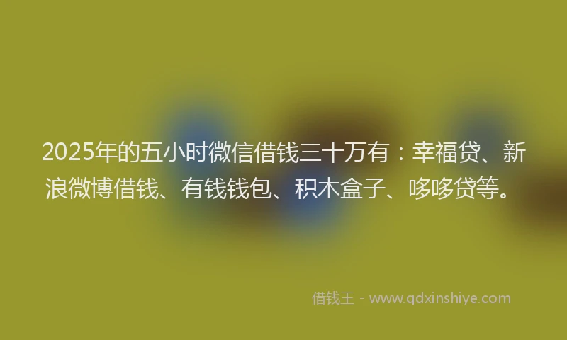 2025年的五小时微信借钱三十万有：幸福贷、新浪微博借钱、有钱钱包、积木盒子、哆哆贷等。