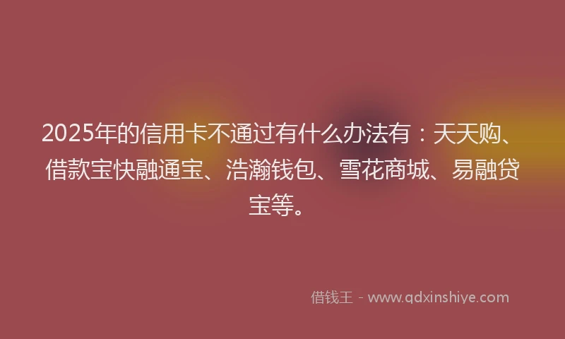 2025年的信用卡不通过有什么办法有：天天购、借款宝快融通宝、浩瀚钱包、雪花商城、易融贷宝等。