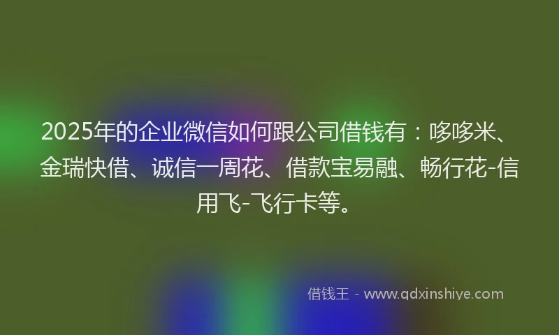 2025年的企业微信如何跟公司借钱有：哆哆米、金瑞快借、诚信一周花、借款宝易融、畅行花-信用飞-飞行卡等。